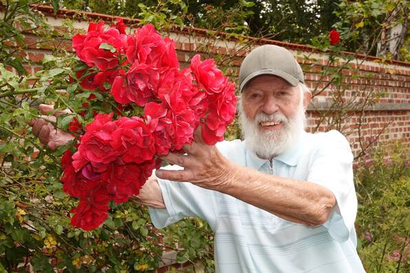 Herr der Rosen im Küchengarten am Schloss: Schweriner möchte mit 86 Jahren kürzer treten