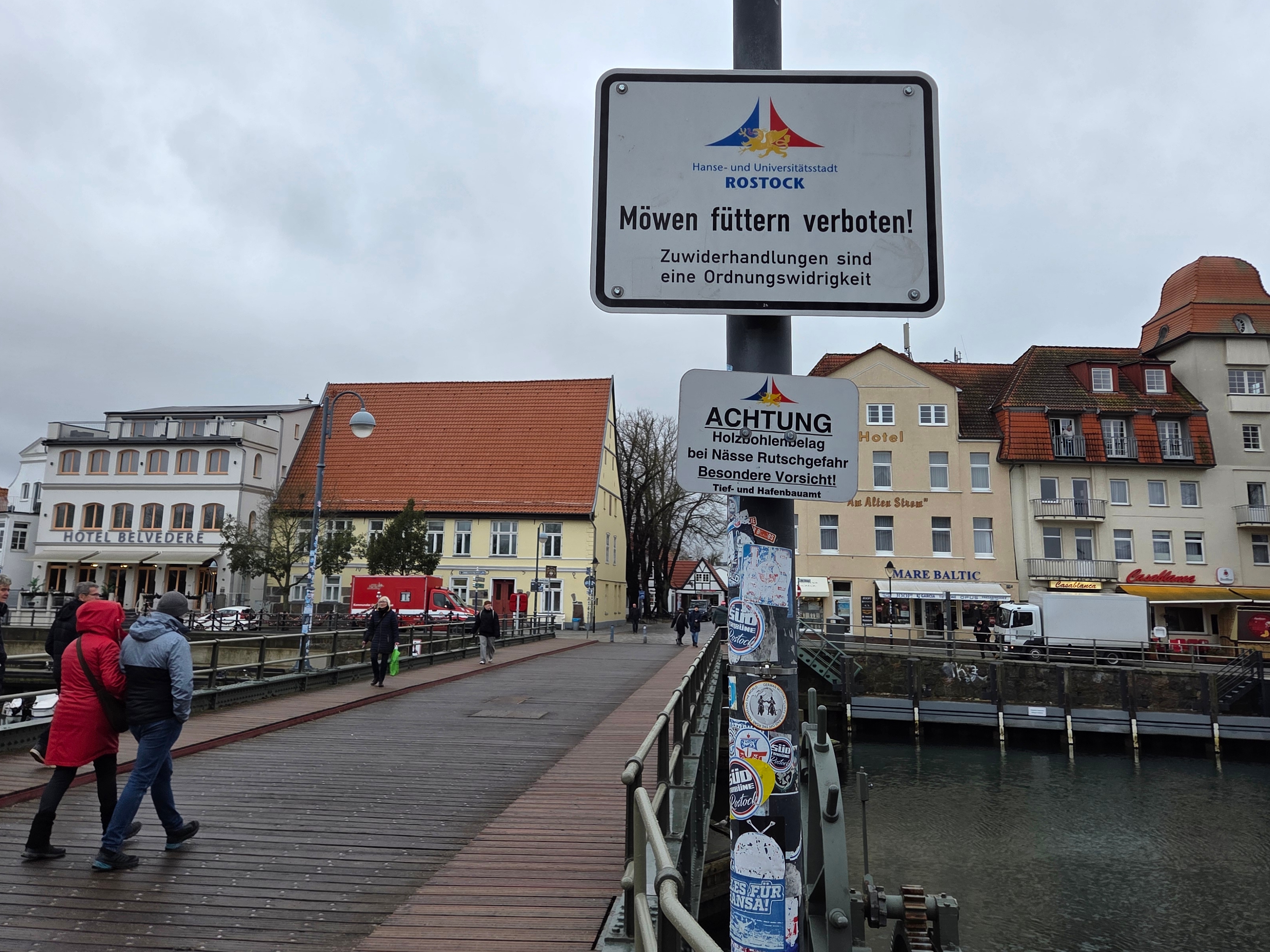 Bis zu 5000 Euro fürs Möwenfüttern: Warum viele Urlauber in Warnemünde das ...