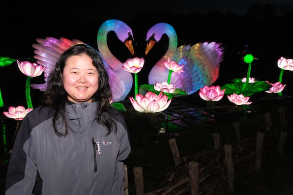 „Wild Lights" im Schweriner Zoo: Lichterfestival zieht Tausende Besucher an