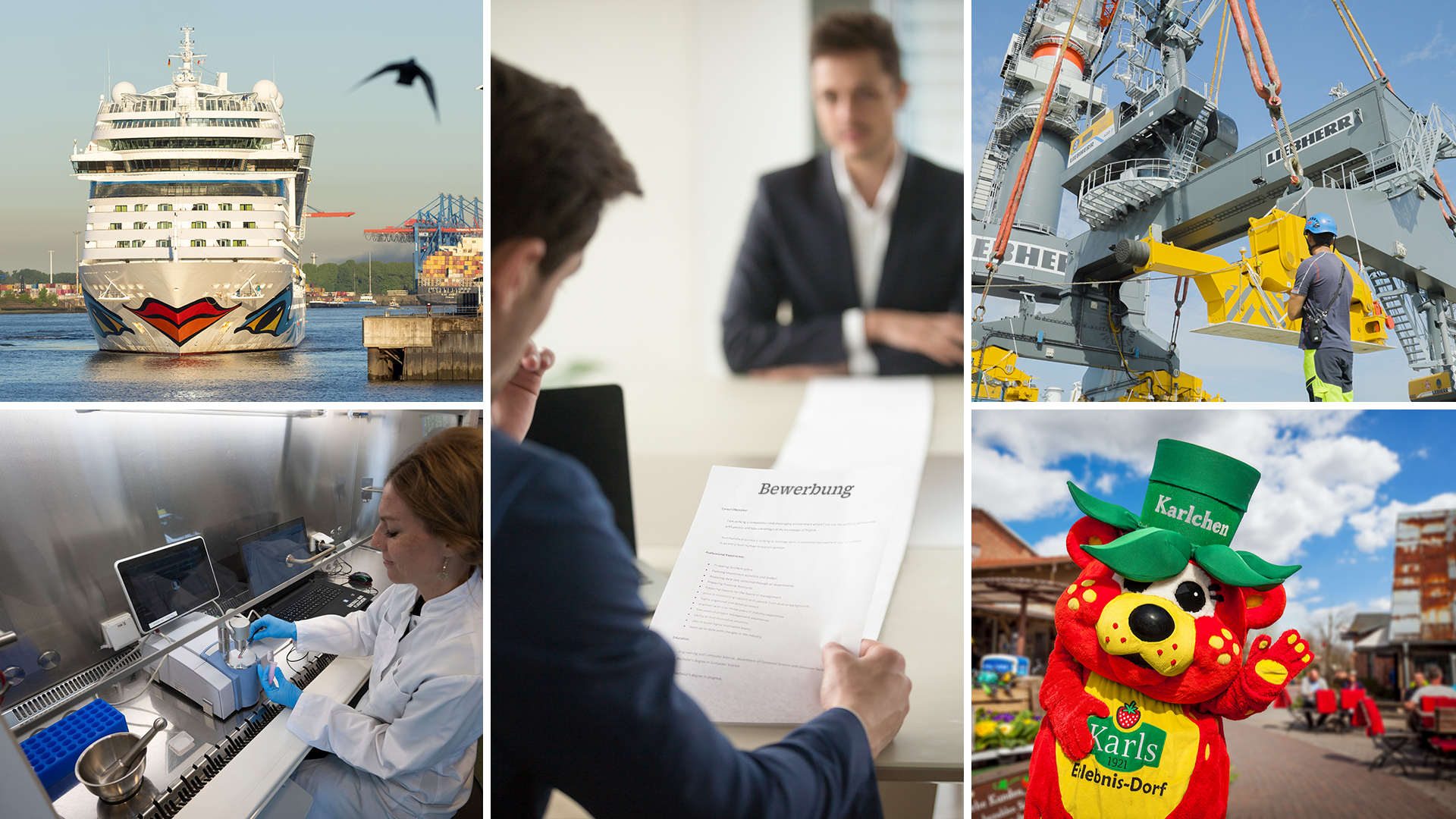 Jobs bei Aida, Karls, Liebherr und Unimedizin in Rostock: Mit diesen Tipps ...